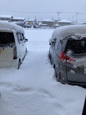 土曜日朝の雪の状態