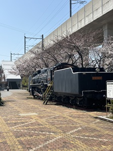松任駅桜
