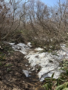 残雪とぬかるみ
