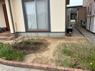 ちょっと奇麗になった庭