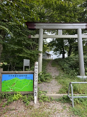 手速比咩（てはやひめ）神社