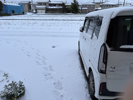 20250110雪