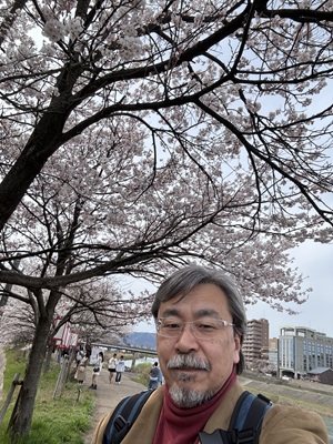 足羽川沿い桜並木