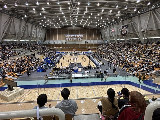 足羽川沿い桜並木