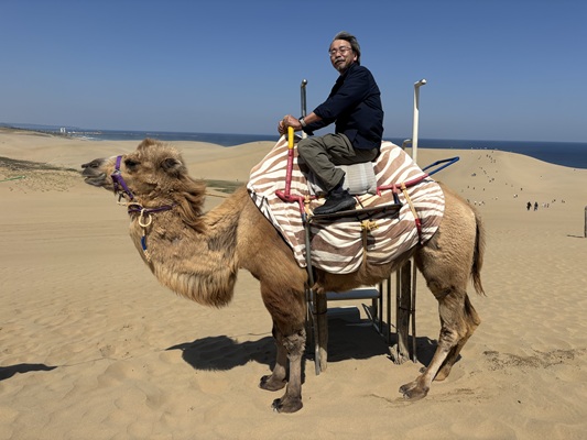 鳥取砂丘らくだ